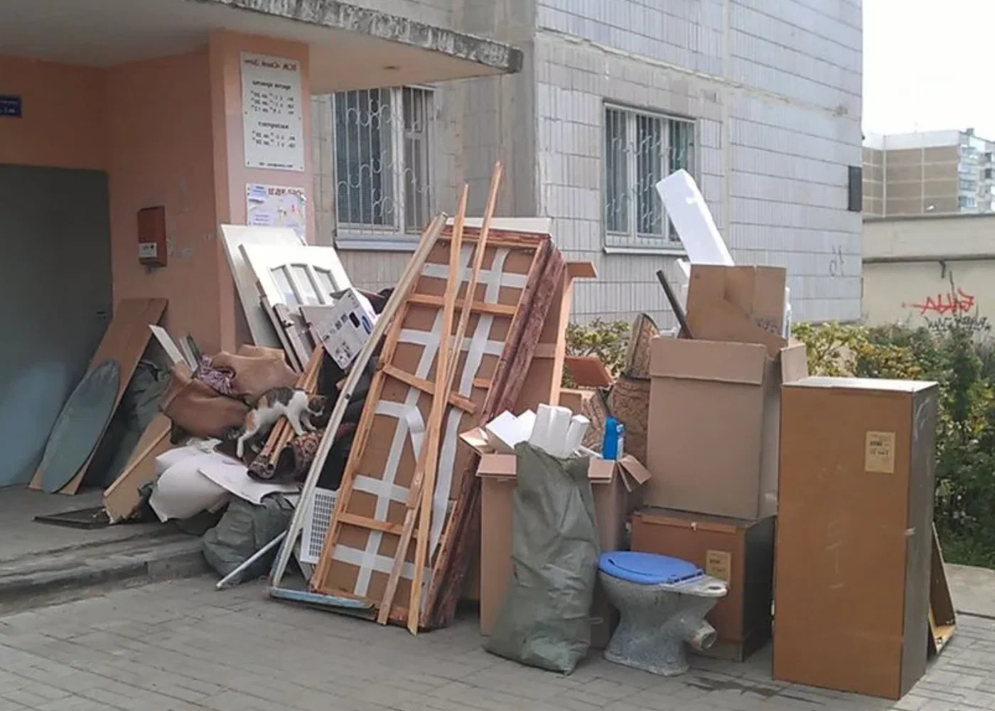 Профессиональный вывоз мусора из квартиры в Луховицах в октябре