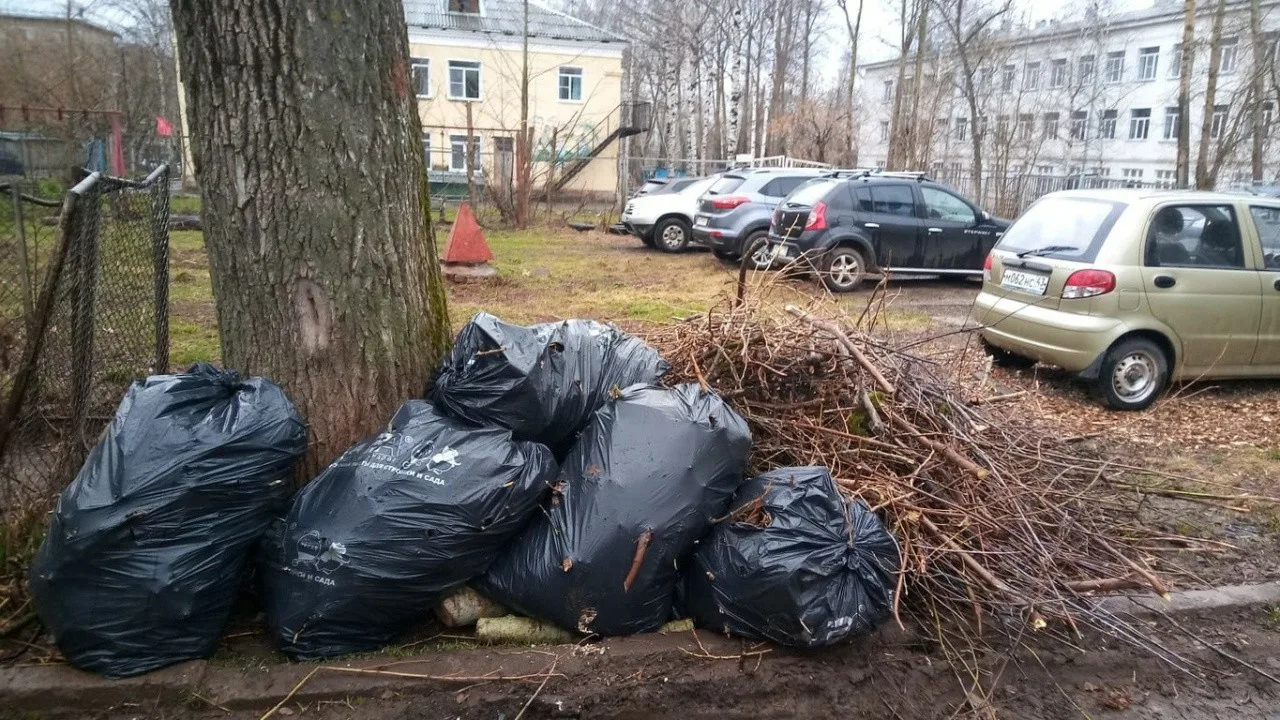 Вывоз мусора после субботника в Луховицах от ПроМусор – уборка и утилизация отходов от 2431 руб
