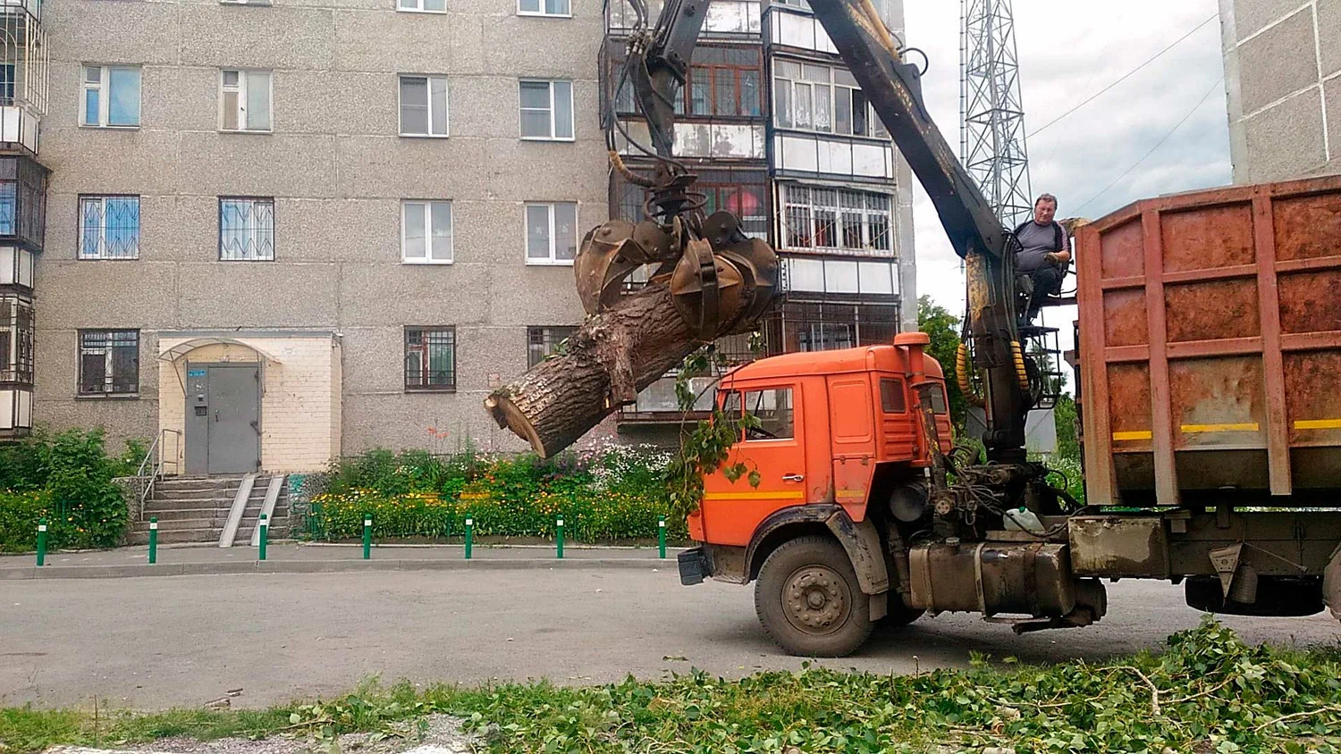 Вывоз спиленных веток и деревьев в Луховицах от ПроМусор: порубочные остатки, утилизация, цена от 3000 руб