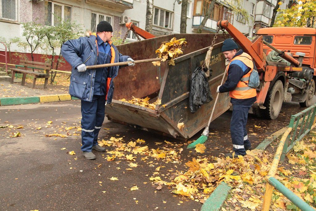 Вывоз опавшей листвы и растительного мусора в Луховицах от ПроМусор – цена от 4655 руб., быстрая уборка и утилизация